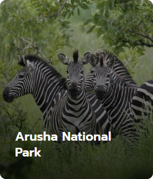 Arusha National Park