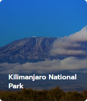 Kilimanjaro National Park