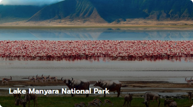 Lake Manyara National Park