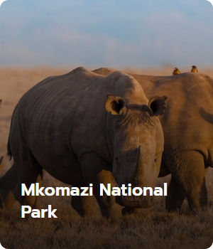 Mkomazi National Park