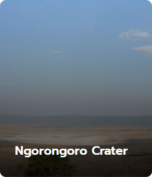 Ngorongoro Crater