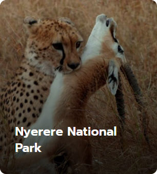 Nyerere National Park