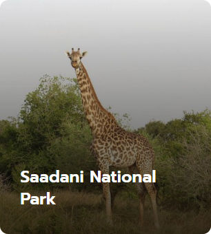 Saadani National Park