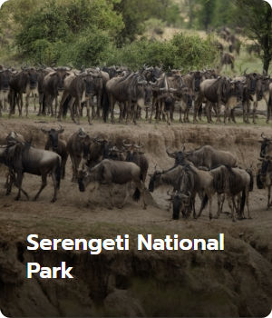 Serengeti National Park