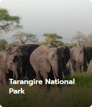 Tarangire National Park